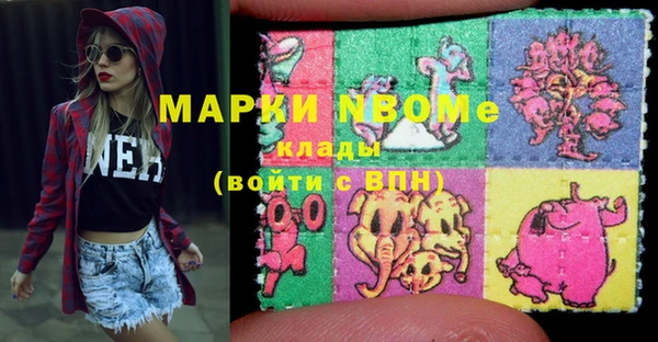 ПСИЛОЦИБИНОВЫЕ ГРИБЫ Верея